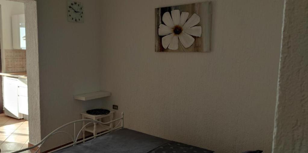Mali Delfin Apartman Szentgyörgy Kültér fotó