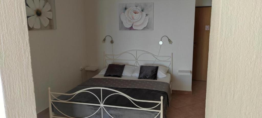 Mali Delfin Apartman Szentgyörgy Kültér fotó