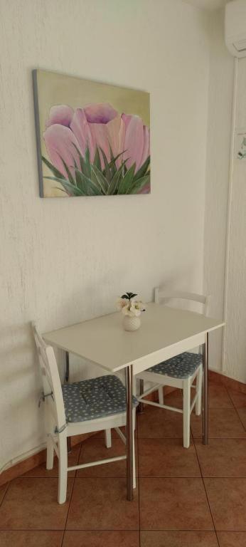 Mali Delfin Apartman Szentgyörgy Kültér fotó